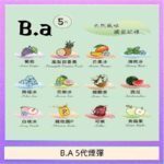 B.A 5代主機煙彈電子煙一盒三顆