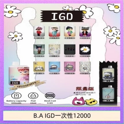 B.A IGD12000口 電子煙